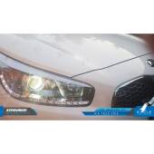 6 Ceed: Custom Built XE Eagle LED System - OEM Shape Ceed: Custom Built XE Eagle LED System - OEM Shape