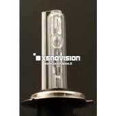 1 H1 8000k Lampada xenon originale Xenovision - Plug Ket H1 8000k Lampada xenon originale Xenovision - Plug Ket