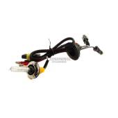 0 H11B H9B 6000k Lampada xenon originale Xenovision per kit 35W - Plug Ket H11B H9B 6000k Lampada xenon originale Xenovision per kit 35W - Plug Ket