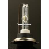1 H7 6100K Xenovision FocusPro Korea bulb 35W/55W H7 6100K Xenovision FocusPro Korea bulb 35W/55W