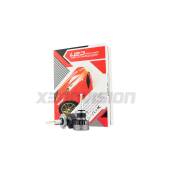 1 Kit Anabbaglianti X-pro Brightstar LED per Renault Clio IV Kit Anabbaglianti X-pro Brightstar LED per Renault Clio IV