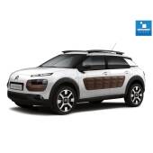 0 Kit Xenon Citroen C4 Cactus - 2014 in poi - Xenon 35W - 6000k Kit Xenon Citroen C4 Cactus - 2014 in poi - Xenon 35W - 6000k