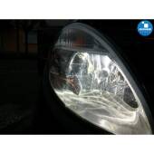 2 Kit Xenon Lancia Musa - 2004 al 2012 - Xenon 35W e Posizioni - 5300k Kit Xenon Lancia Musa - 2004 al 2012 - Xenon 35W e Posizioni - 5300k