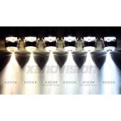 4 Kit Xenon Renault Scenic Plug&Play Specifico Kit Xenon Renault Scenic Plug&Play Specifico