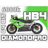 0 Kit Xenon Slim Moto HB4 6000k 35W 64Bit Qualita Xenovision Bianco Lunare Kit Xenon Slim Moto HB4 6000k 35W 64Bit Qualita Xenovision Bianco Lunare