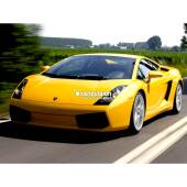 0 Lampade Xenon Lamborghini Gallardo - 2003 al 2008 - Xenon 35W - 6100k Lampade Xenon Lamborghini Gallardo - 2003 al 2008 - Xenon 35W - 6100k