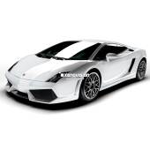 0 Lampade Xenon Lamborghini Gallardo - 2009 al 2012 - Xenon 35W - 6000k Lampade Xenon Lamborghini Gallardo - 2009 al 2012 - Xenon 35W - 6000k