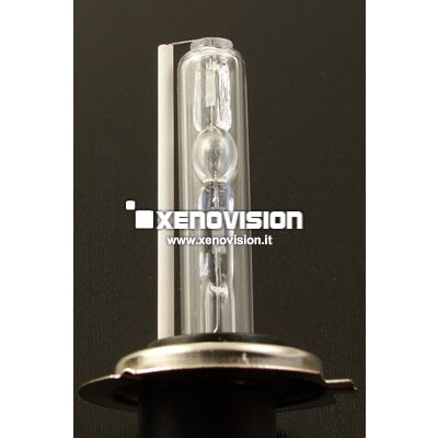 1 H1 8000k Lampada xenon originale Xenovision - Plug Ket Miscela di gas purissima 8000k senza aggiunte di gas inerti (coloranti) - Lampada H1 <strong>PROFESSIONALE</strong> di Altissima Qualità, realizzata e garantita da xenovision.