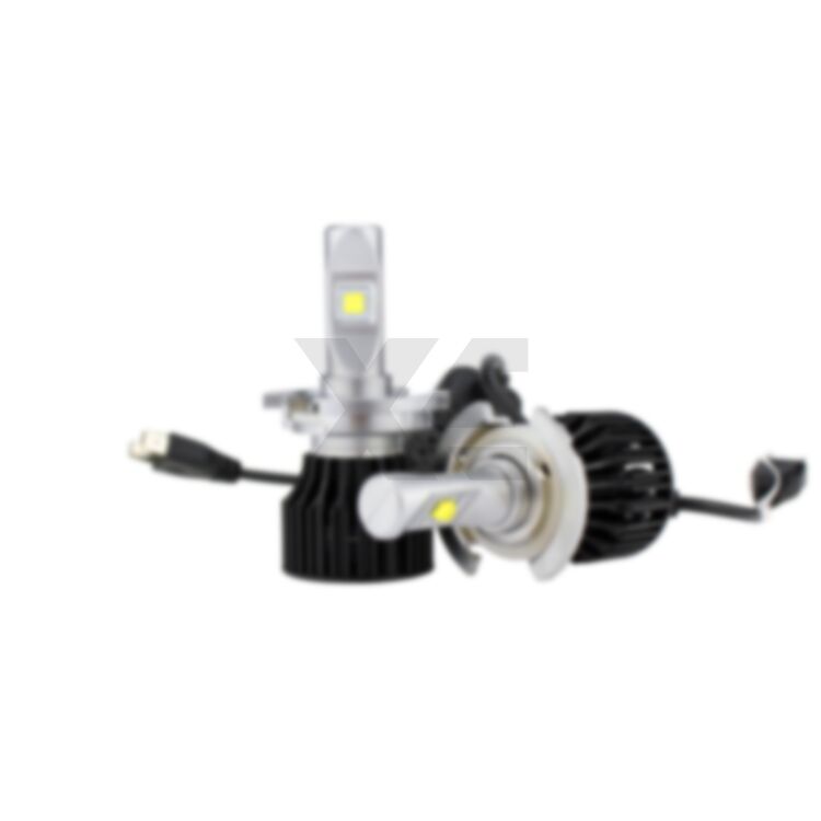 5 Kuga: Kit Anabbaglianti XE Eagle LED System su Misura <!DOCTYPE html>
<html>
<head>
</head>
<body>
</body>
</html>