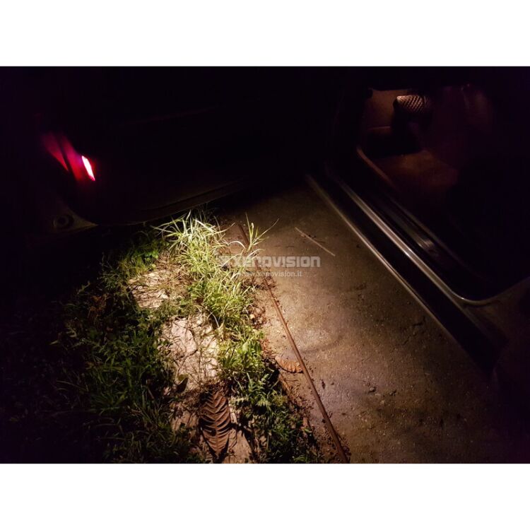 8 T10 (W5W) Kit LED 360 Gradi Luci Cortesia Bianco Caldo 4500k - XE Gold <p>La soluzione T10 a 360 gradi definitiva per un abitacolo a Luce Calda, elegante e avvolgente. </p>